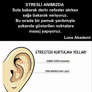 12391891_443762349153393_4813903059663950332_n[2]