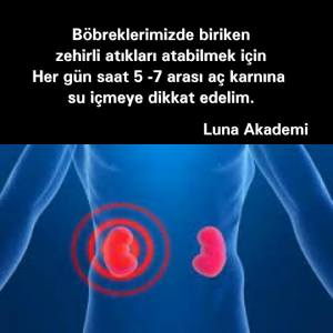 1559591_445129385683356_2186980505418821237_n[1]