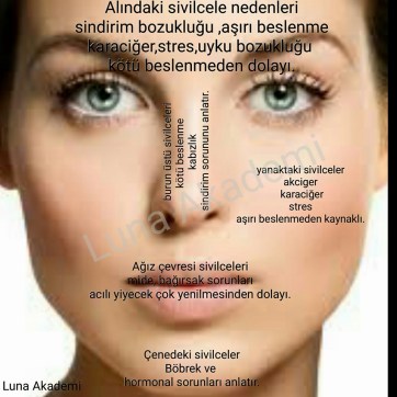 1915393_447127505483544_1120362048141369964_n[1]