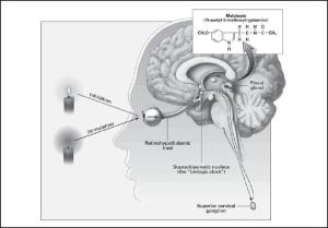 734299_287347584721190_1565894690_n[1]