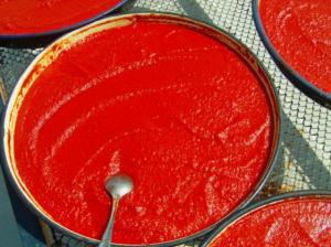 biberli salca (9) - Kopya[1]