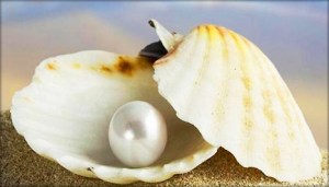 istiridye-inci-kolye-yuzuk-kupe-seti-firsat[1]