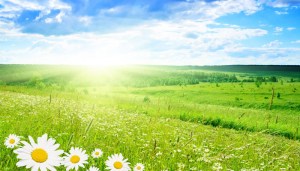 reiki-yasam-enerjisi-sifa-vermeye-zorlar[1]