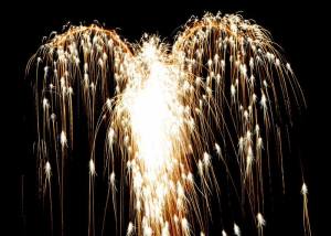 10299056_10153441741626799_5524966075668706068_n[1]