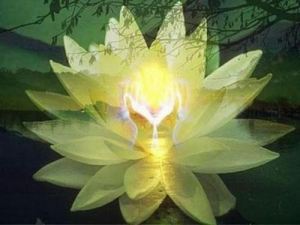 10411348_1188571364503950_2999765213515314797_n[1]