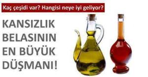 12014_762506990560772_7164014480194308242_n[1]