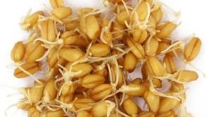 12310700_1016434985084439_5101742065129636770_n[1]