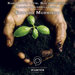 12348006_1168920709792563_942044510667995076_n[2]