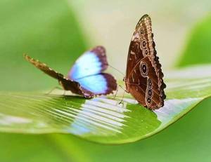 12418099_887642948000742_8201229481748260961_n[1]