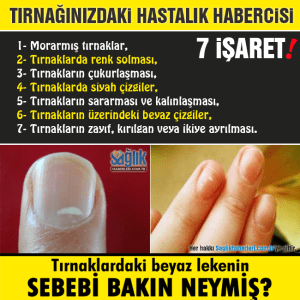 12439067_765696796908458_3806930218691606868_n[1]