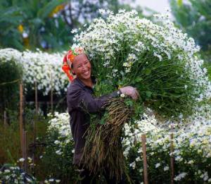 12493716_573644556122763_2943775933200990383_o[1]