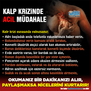 12507097_768182859993185_1522065628371813934_n[1]