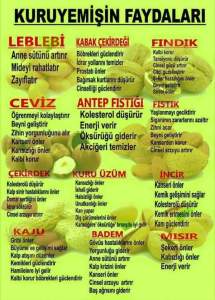 12507347_1006747949385592_1266536092458794597_n[1]