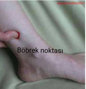 12523167_1134173143283978_8339854881181140802_n[1]