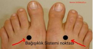 12593903_1134173119950647_6473581455947717322_o[1]