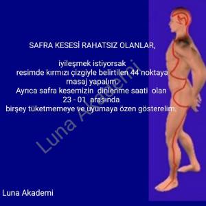 1463551_447732938756334_800982229842972110_n[1]