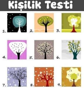 1509195_601694876552775_76694078_n[2]