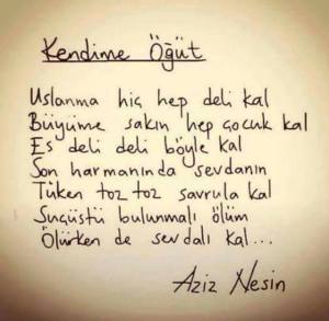 1914112_10206963841067090_193128136408967089_n[1]