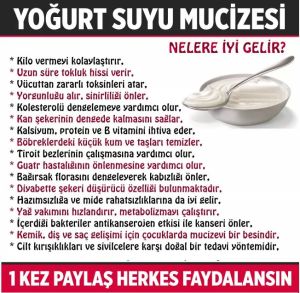 1915841_10208108299015284_1252737830922183626_n[2]