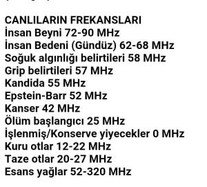 21474_727159254083532_3015044730048315315_n[1]