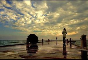 380737_469795096366649_860451754_n[1]