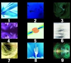 54afb122f493b823f83ffbaa[1]