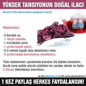 598545_761121010699370_3740526783027581898_n[1]