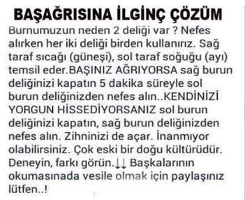 936547_10203887067337299_6234421906327861287_n[1]