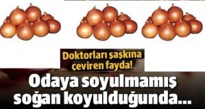 944065_962518217148513_326374378832550768_n[1]