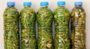 pet-sisede-tursu-yap-1a237c962cab1a636072[1]