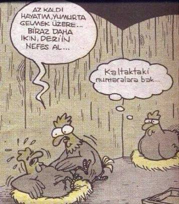 10366021_10204097328031987_1823630453967667931_n[1]