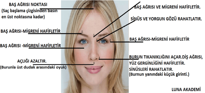 10958075_345085485687747_568077087234749129_n[1]