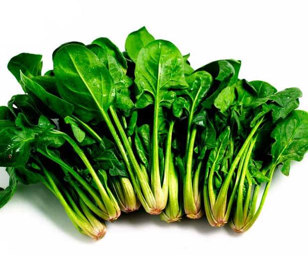 11880498_10153428996480340_1974507017795510007_n[1]