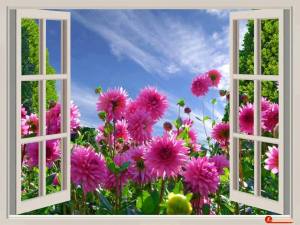 12417982_1284875491538488_1442332338629942722_n[2]