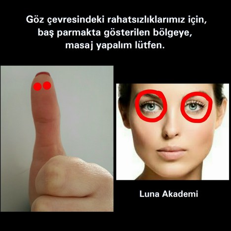 12631310_454584554737839_5577475741421057935_n[1]