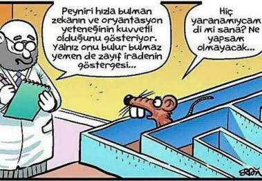 12642575_10154017375040815_1389110573282103121_n[1]