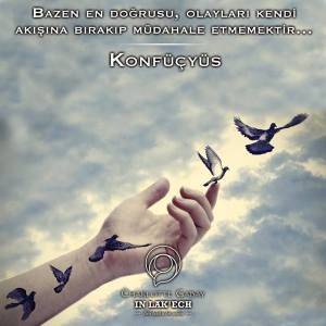 12647428_1194918403859460_6692099028024465332_n[1]