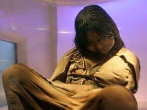 12651346_950778358309571_4001670961623766455_n[1]