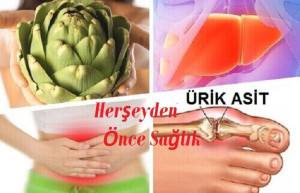 12670849_546709805495636_5643808017556927620_n[1]