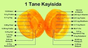 12687915_781731261971678_8803304393302692522_n[1]