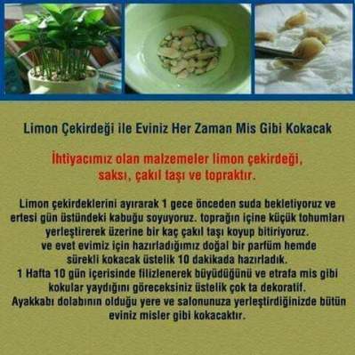 12715765_230095544002853_2166613897214502410_n[1]