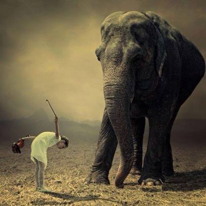 12715785_795371160593597_5432503439020565151_n[1]