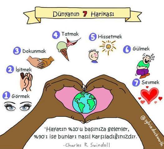 12717302_1717238178531936_1773804253257103908_n[1]