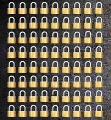 12717800_1692885090958531_5421546592838718559_n[1]