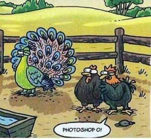 12801344_1006506082743381_8227131465500338146_n[1]