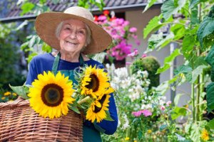 240_F_80603867_wlPQIWPyPOPpfAB5p9TfbsNI4rAGwPli[1]