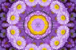 çok-boyutlu-farkındalık-300x199[1]