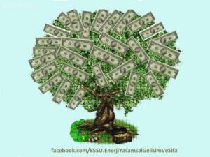 essu_1354198041127[1]