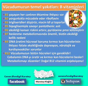 12418079_1014470578620337_6454561081565987066_n[1]