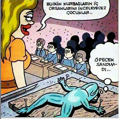 12565439_775694465864356_238309656114106432_n[1]